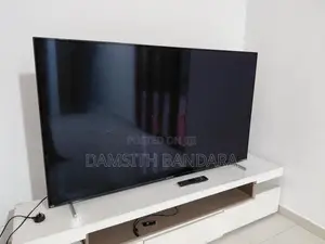 Singer Epic 65 inch TV