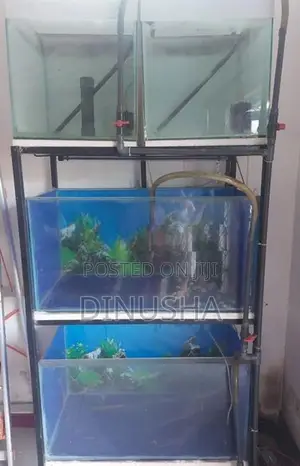 Fish Tank Set