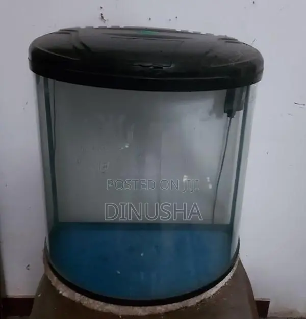 Fish Tank Set