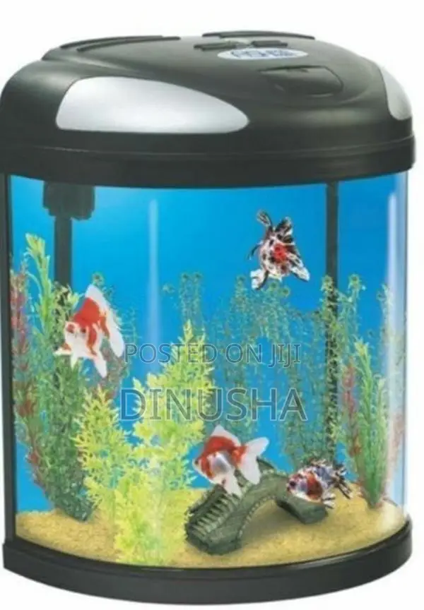 Fish Tank Set