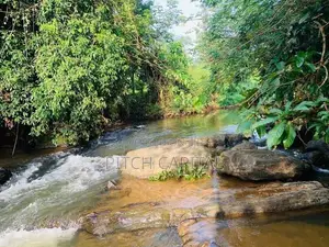හදපාන්ගොඩ මාවක් ඔය වැවට මුහුණලා බිම්කොටස්