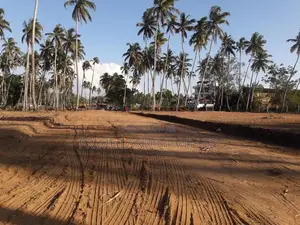 පැල්ලැන්දෙනියෙන් පදිංචියට ඉඩමක්