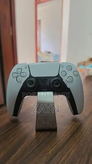 PS5 Controller