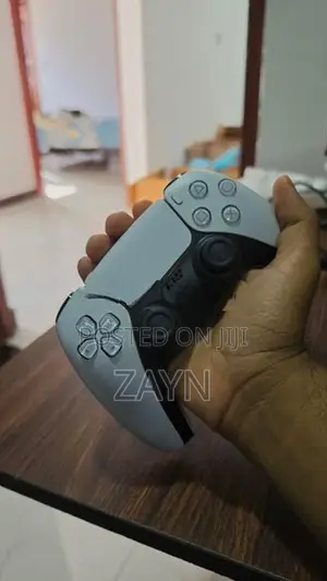PS5 Controller