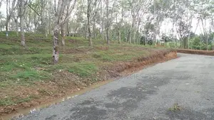 Land Plots in Ahangama