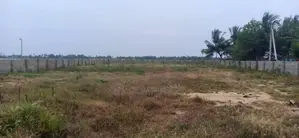 Land for Sale -வளவு விற்பனைக்கு Akkaraipattu