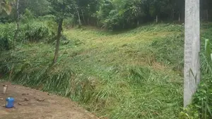 Residential Land for Sale in Kandy Abathanna