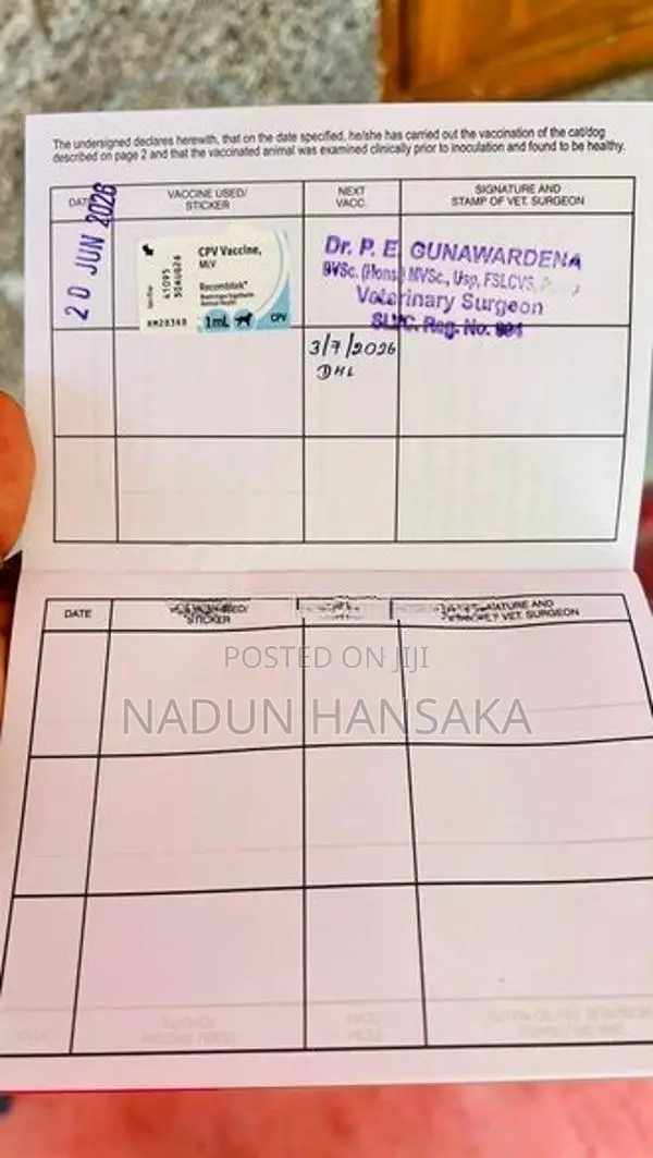 ෂිට්සු බල්ලෙක්