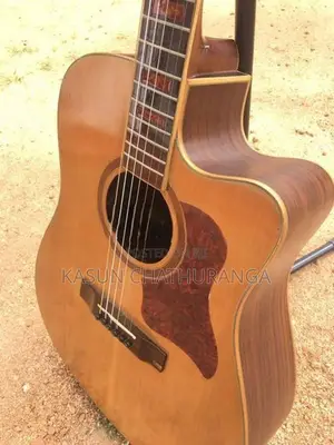 Alston D125C Guitar