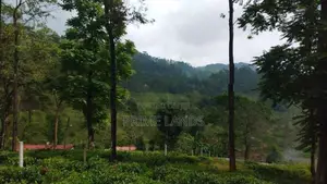 Land for Sale in Pussellawa