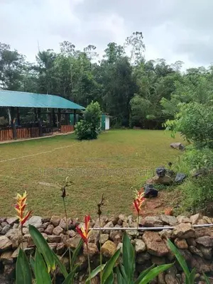 Fully Operational Nature Resort Tea Estate for Sale in Kalawana