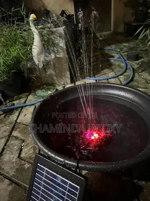 Water Fountain for Birds
