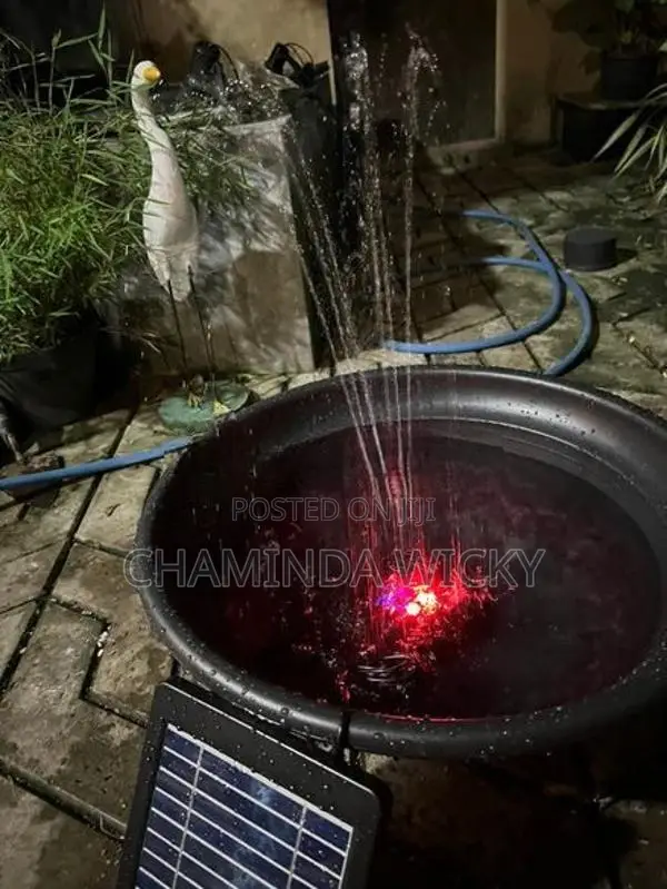Water Fountain for Birds