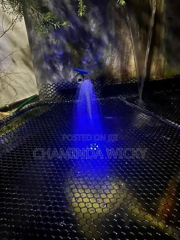 Water Fountain for Birds