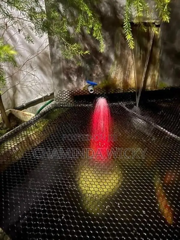 Water Fountain for Birds
