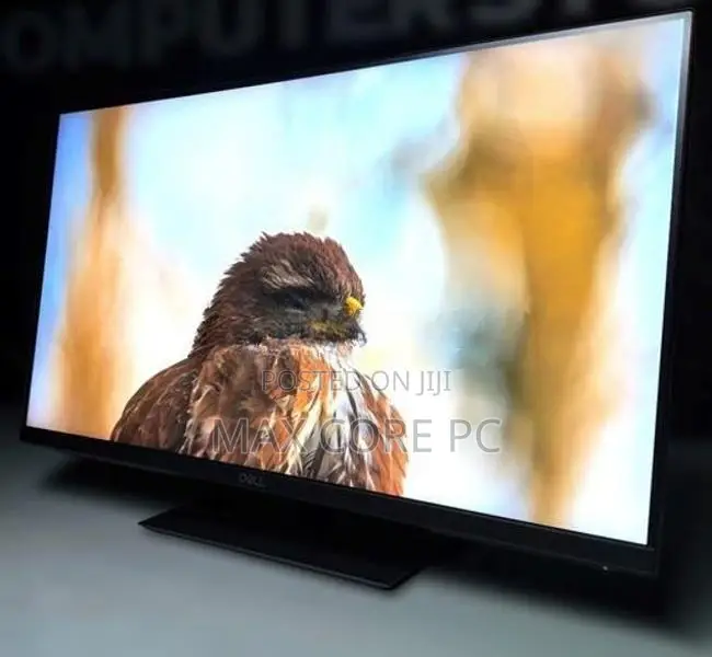 Dell P2319H 23" Inch IPS Frameless Full HD HDMI Used Monitor
