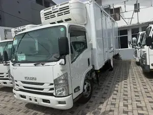 Isuzu Giga Freezer 2017