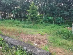 කොස්ගම Town හි වටිනා ඉඩමක් විකිණීමට / DM 13911