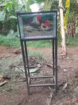 1.5ft × 9inch ×1ft Fish Tank with stand