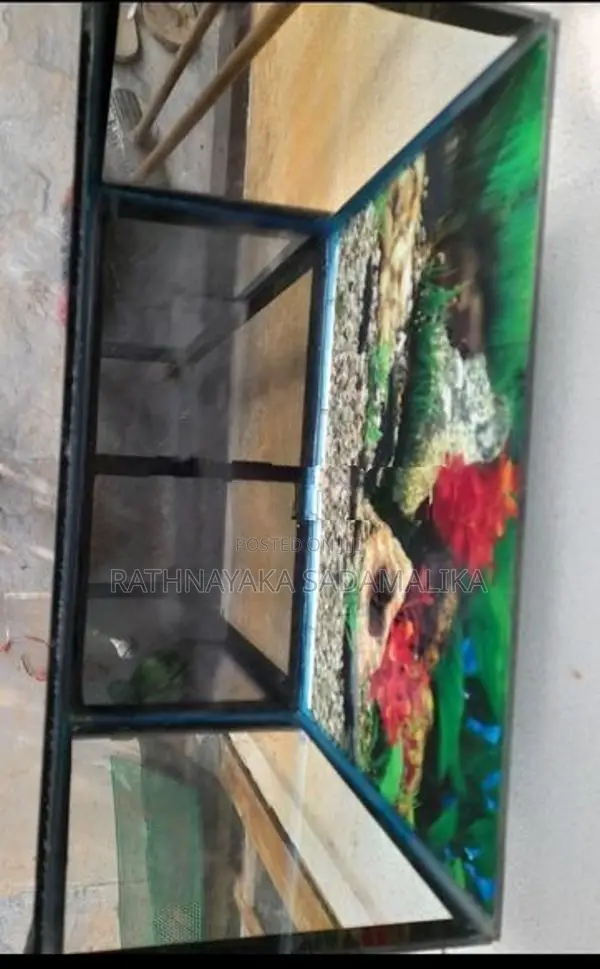 1.5ft × 9inch ×1ft Fish Tank with stand