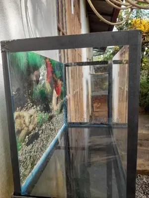 1.5ft × 9inch ×1ft Fish Tank with stand