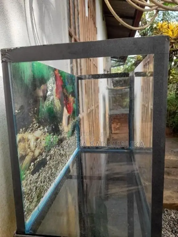 1.5ft × 9inch ×1ft Fish Tank with stand