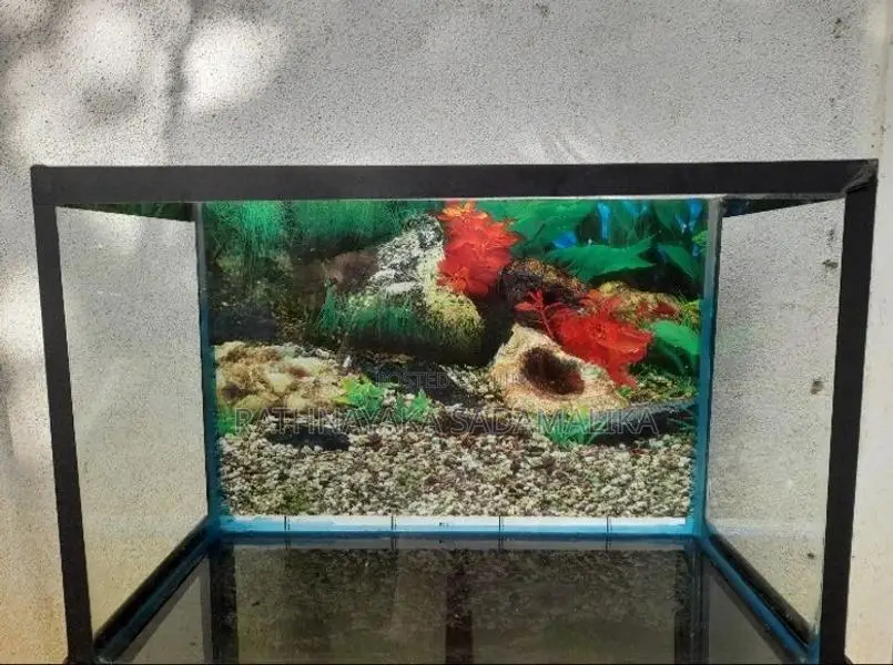 1.5ft × 9inch ×1ft Fish Tank with stand