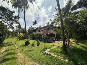 Seeduwa 560 Perches Valuable Land with Houses for Sale