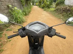 Yamaha Alpha 2019