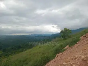 Land for Sale Nillamba