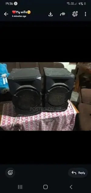 Sony Buffle