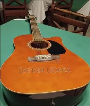 Acoustic Guitar