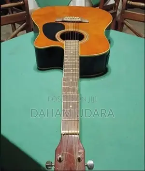Acoustic Guitar