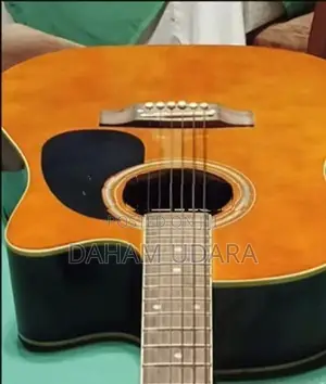 Acoustic Guitar