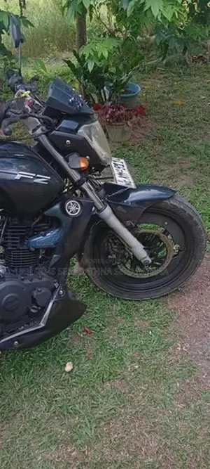 Yamaha FZ 2012