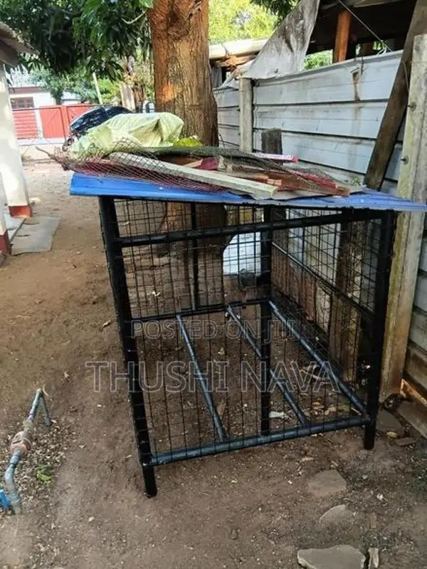 Dog Cage