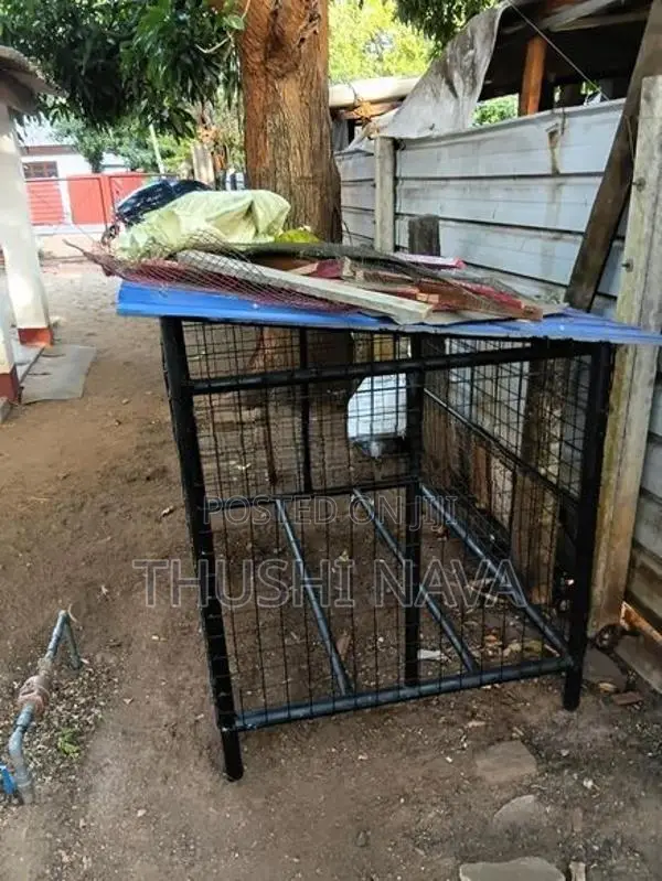 Dog Cage