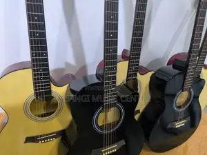 Acoustic Guitar