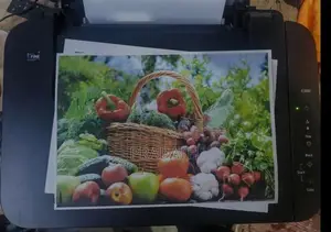 canon G2000