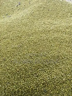 මුං ඇට තොගයට