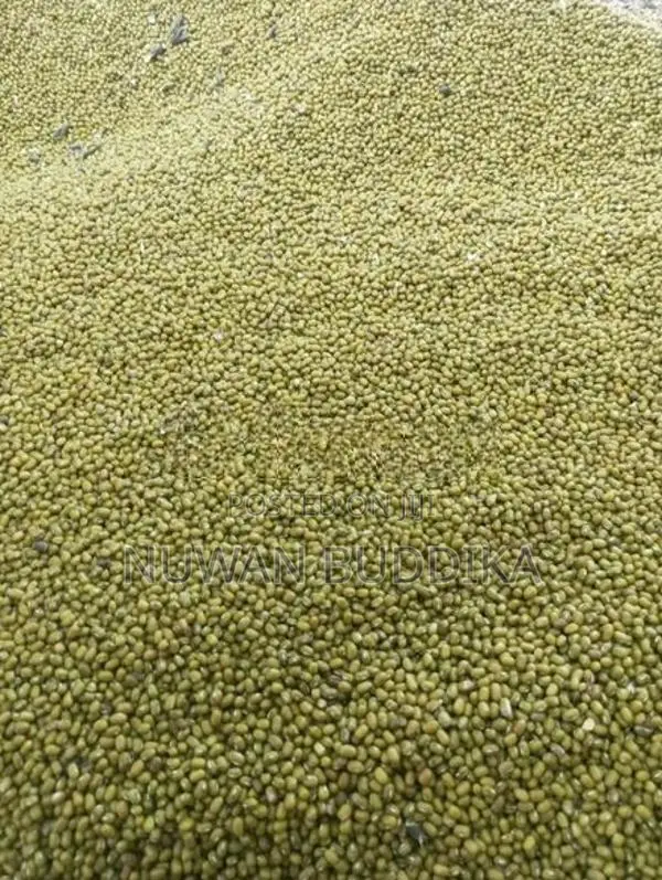 මුං ඇට තොගයට