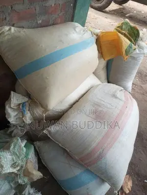 මුං ඇට තොගයට