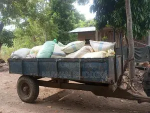 මුං ඇට තොගයට