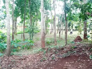 80 Perch Land for Sale in Matale