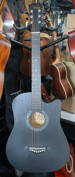 Acoustic Guitar