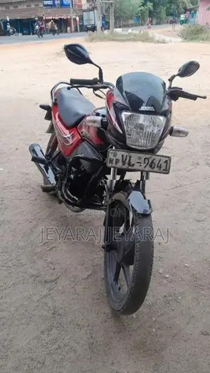 Hero Passion pro 2010