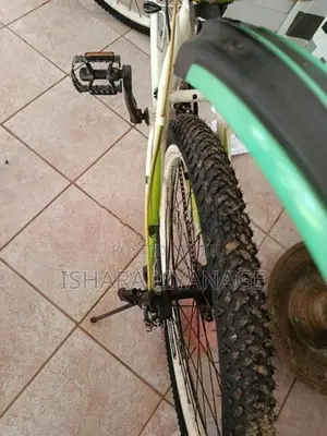 Mountain Bicycle