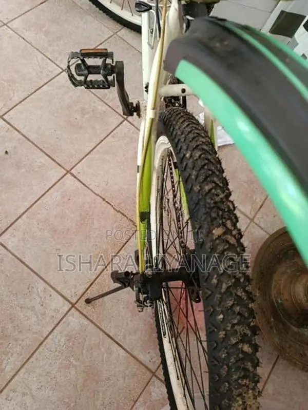 Mountain Bicycle