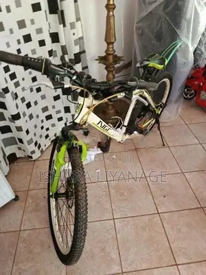 Mountain Bicycle