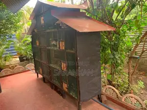 Pigeon Cage